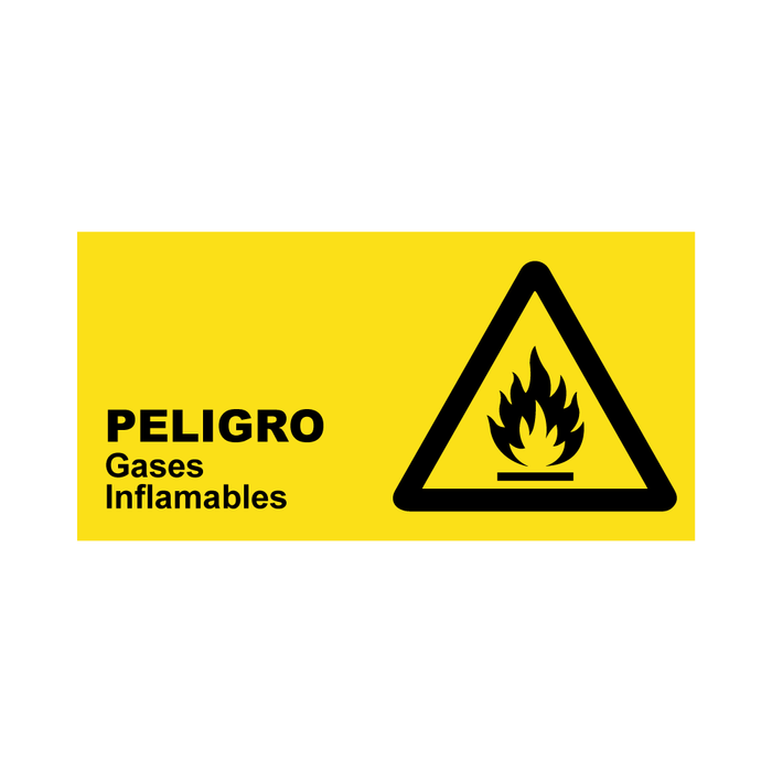 Gases Inflamables AP-02